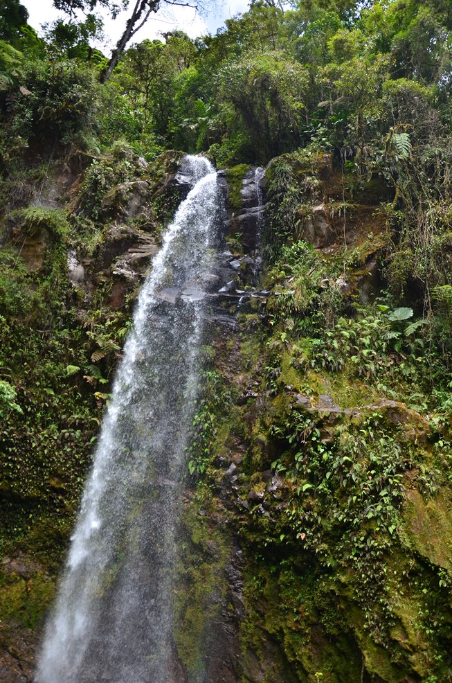 DSC_9390.jpg
