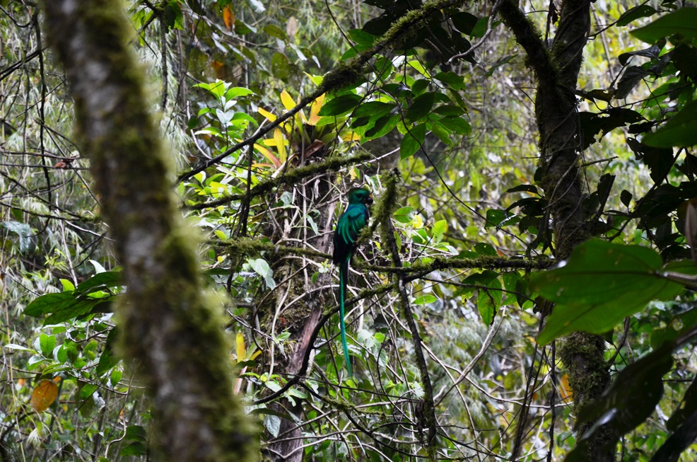 DSC_9456.jpg