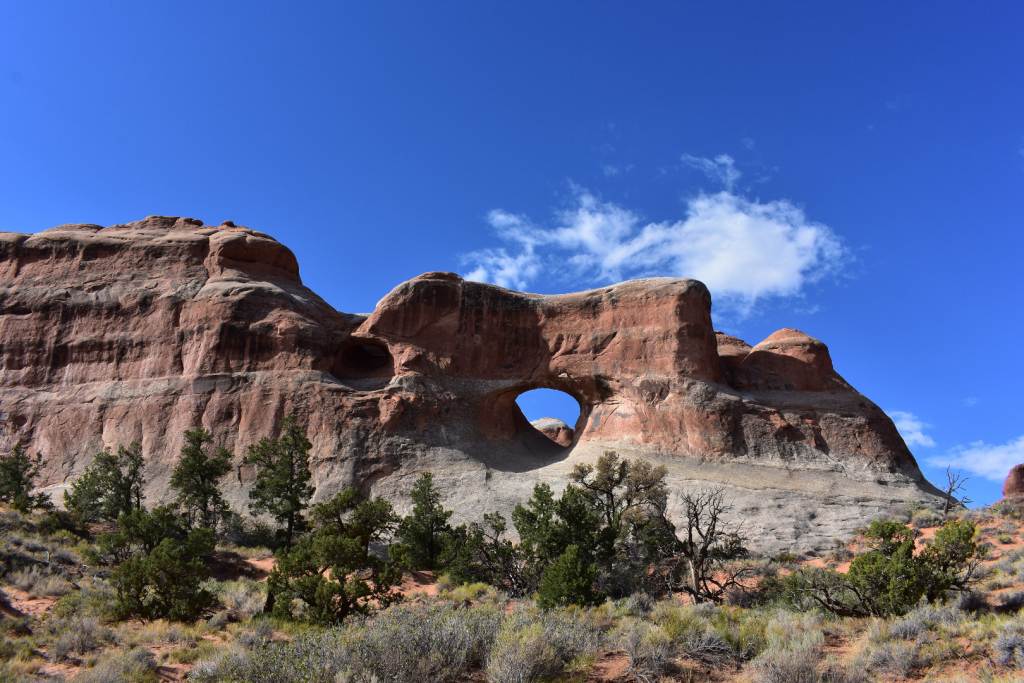 DSC_0885.JPG