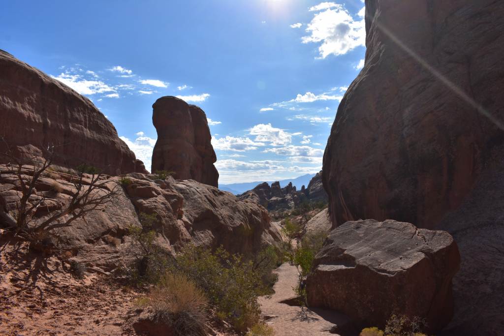 DSC_0902.JPG