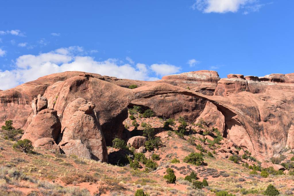 DSC_0907.JPG