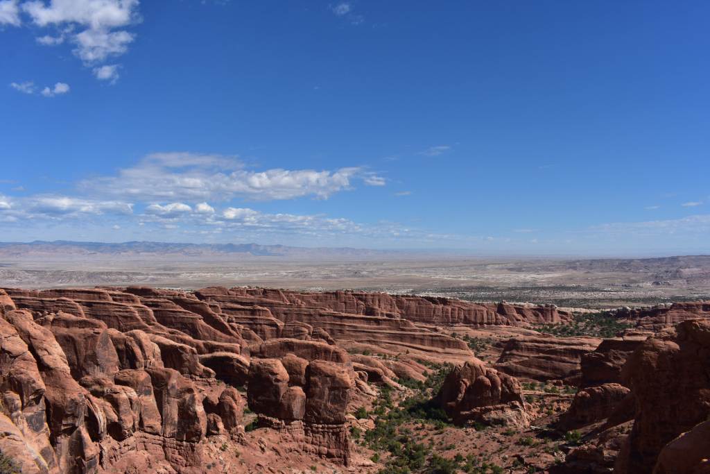 DSC_0953.JPG