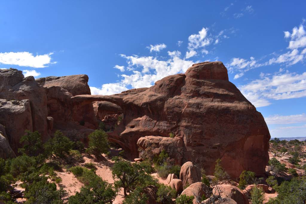 DSC_0960.JPG