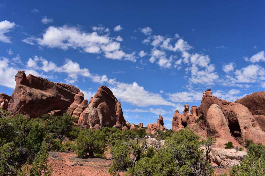 DSC_0967.JPG