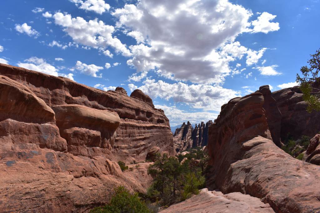 DSC_0979.JPG