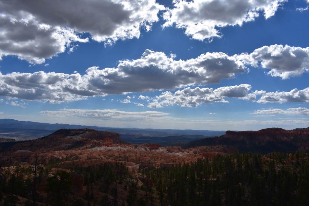 DSC_0123.JPG