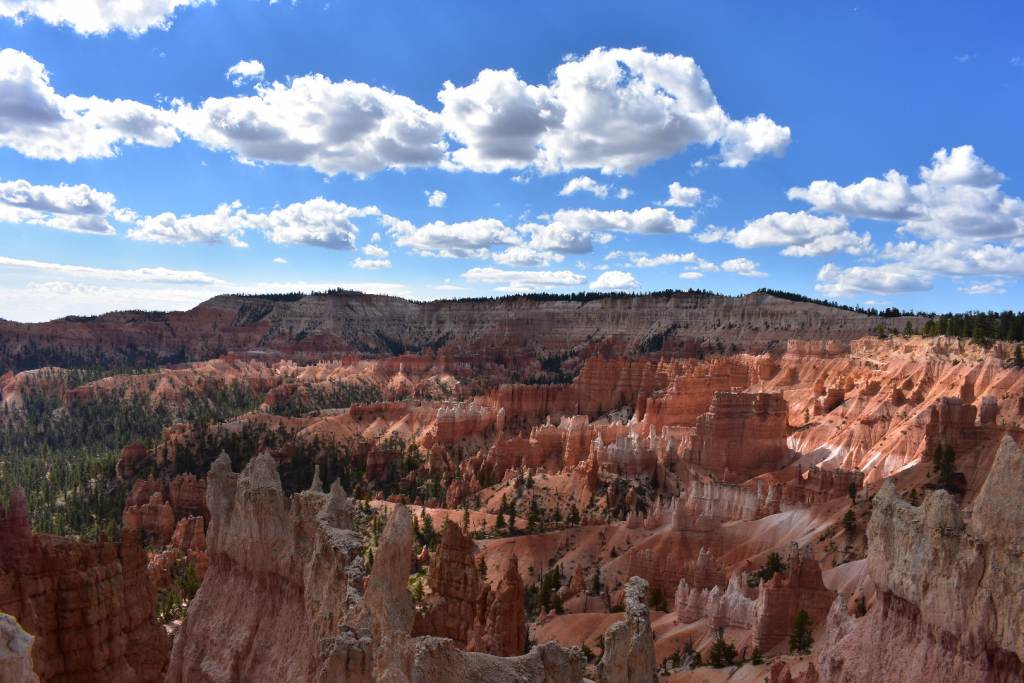DSC_0130.JPG