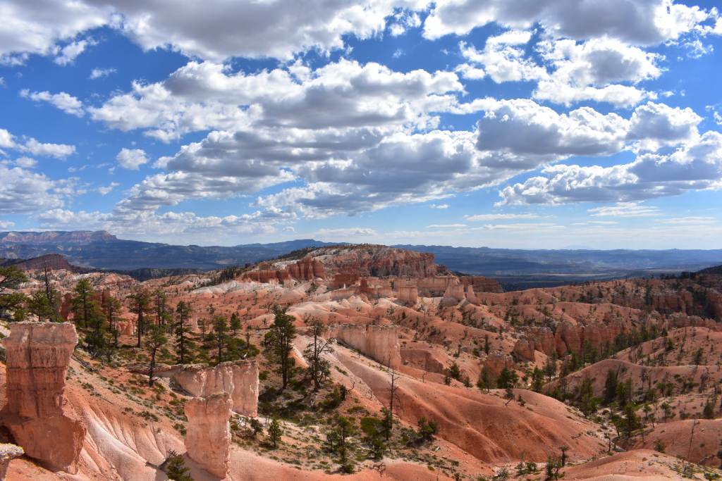 DSC_0150.JPG