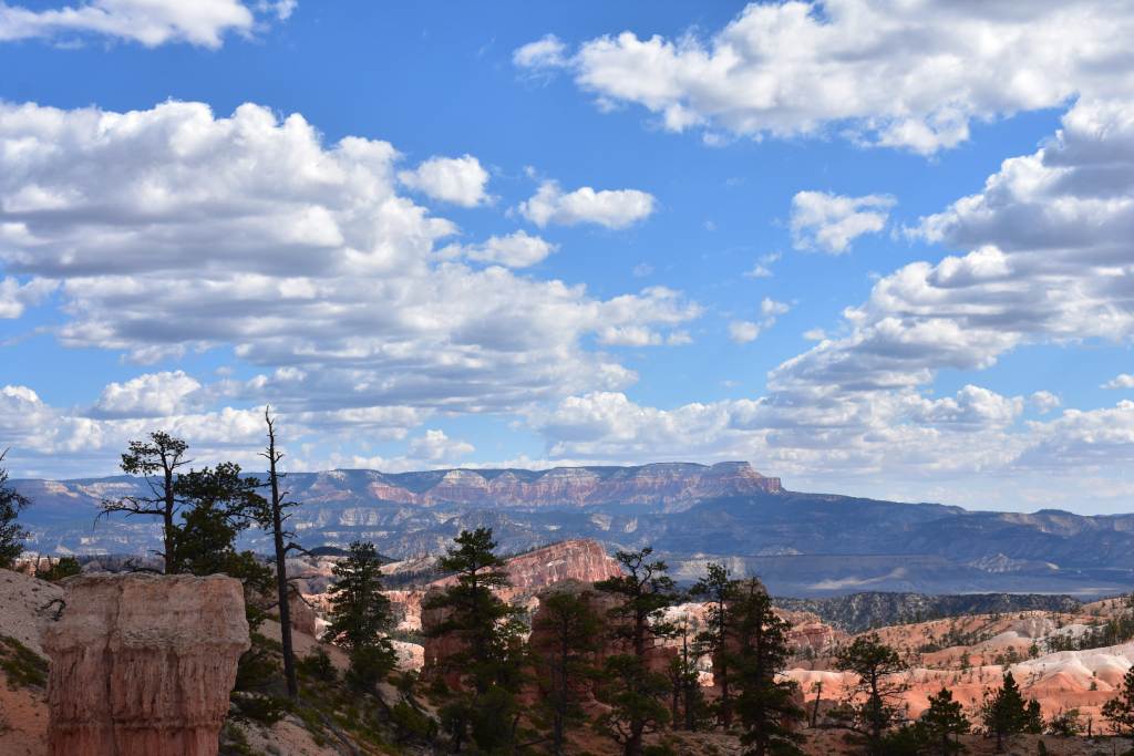 DSC_0153.JPG