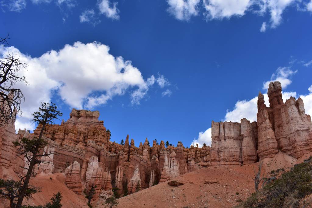 DSC_0164.JPG