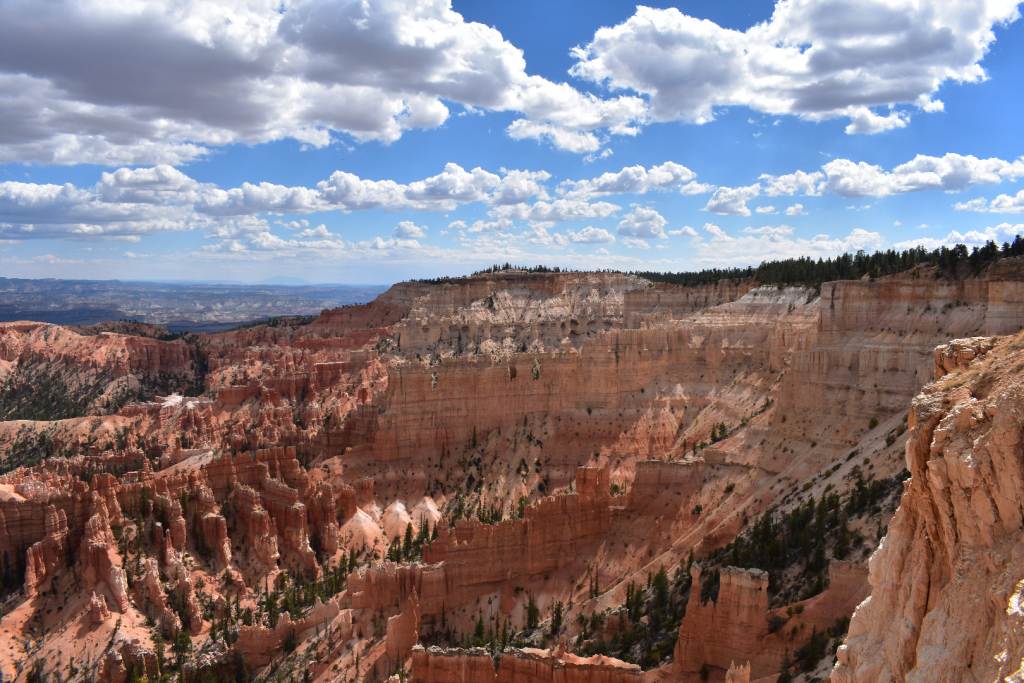 DSC_0210.JPG