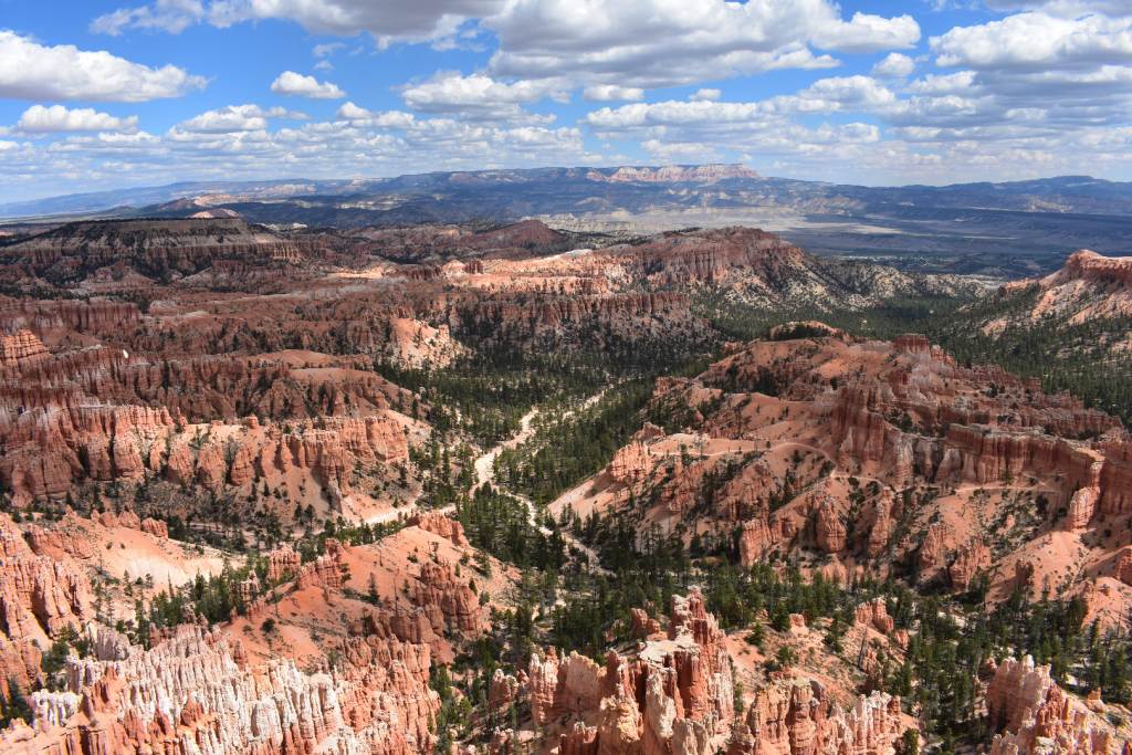 DSC_0215.JPG