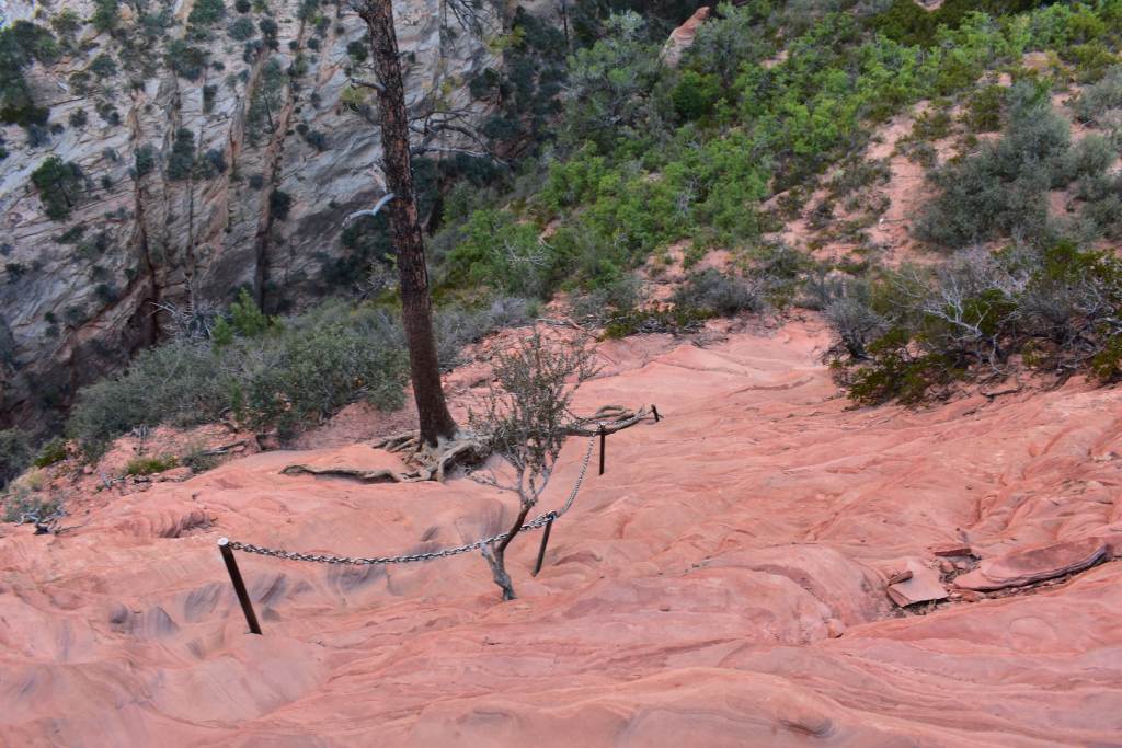 DSC_0255.JPG
