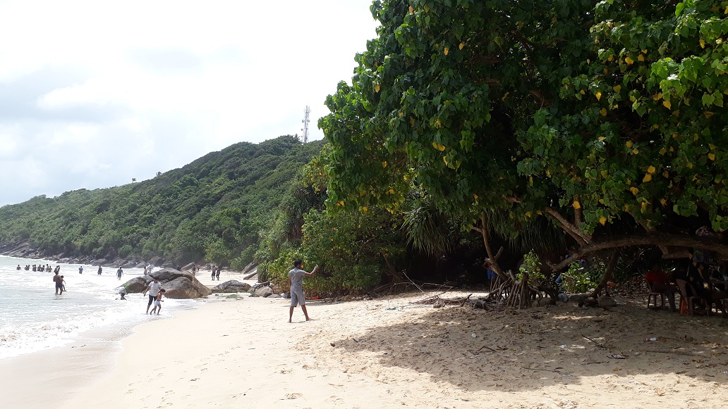 20180729_121353.jpg