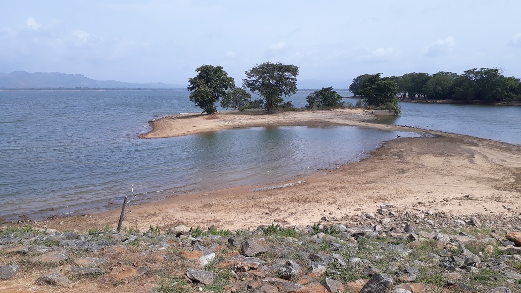 20180730_100016.jpg