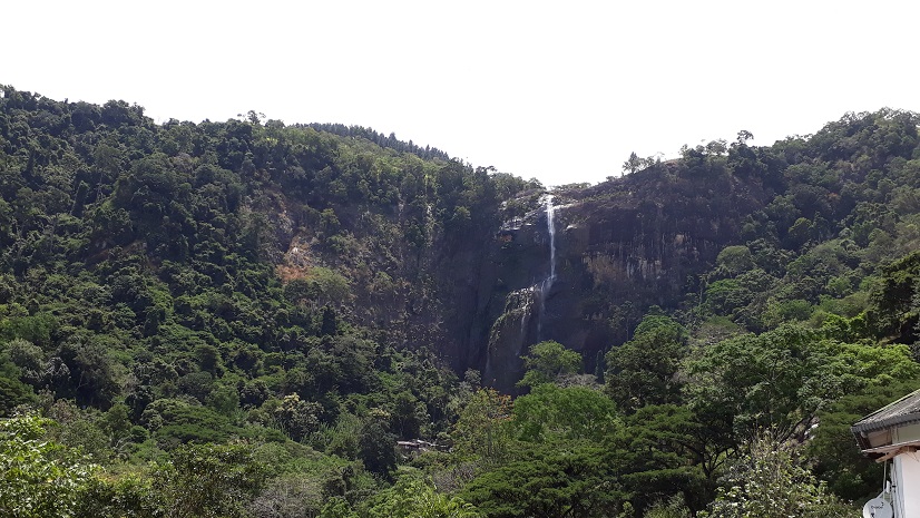 20180731_121649.jpg