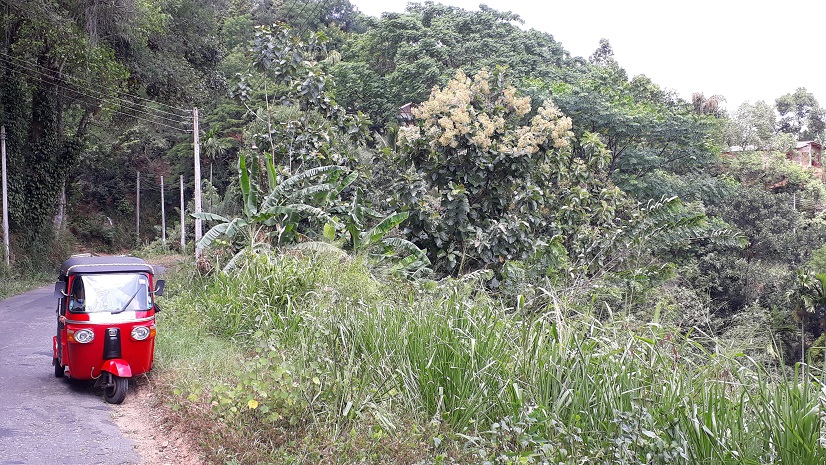 20180731_124317.jpg