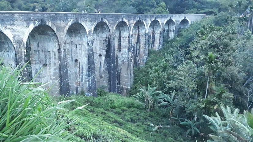 20180731_182821.jpg