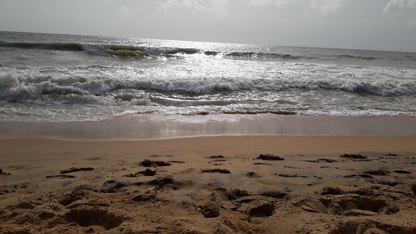 20180803_161613.jpg