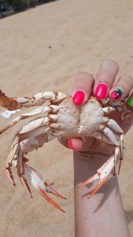 20180804_130222.jpg