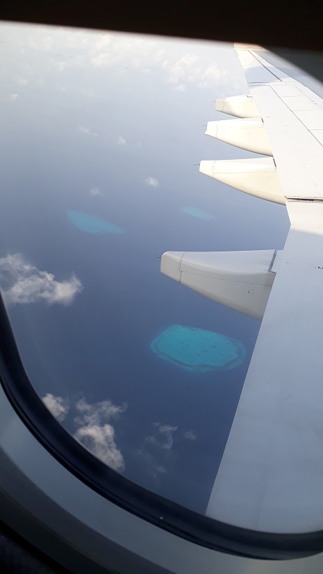 20180805_072152.jpg