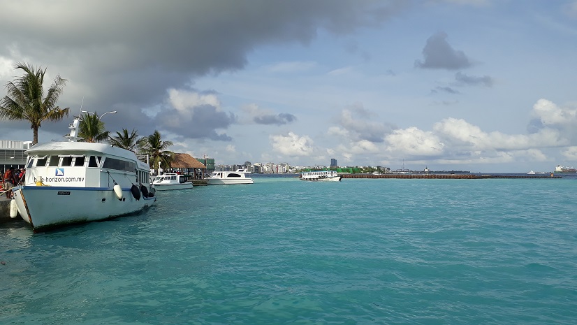20180805_081331.jpg