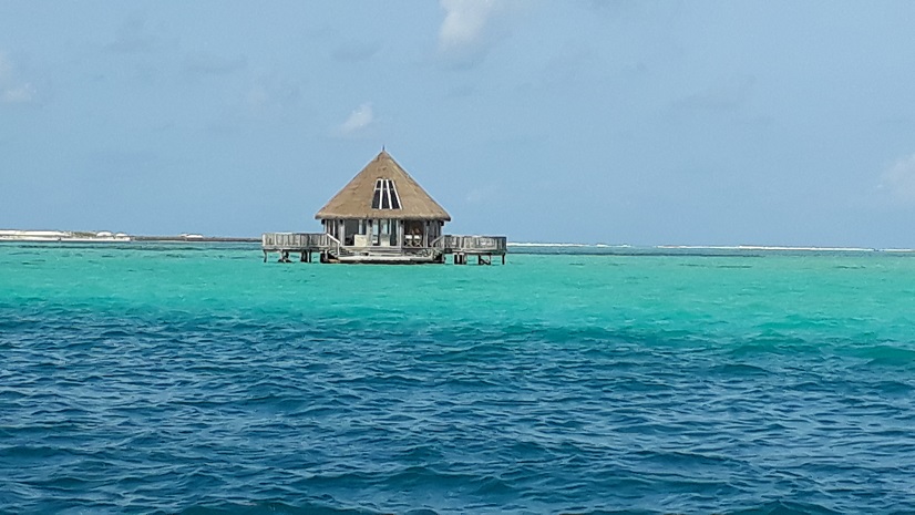 20180805_153338.jpg