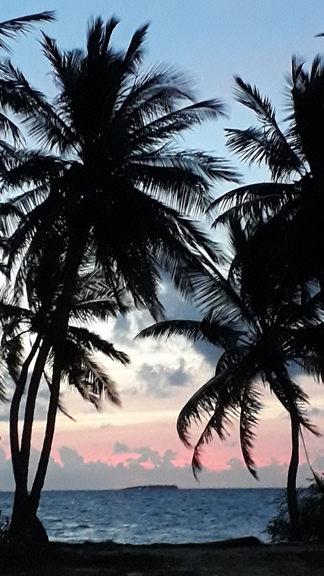 20180806_183910.jpg