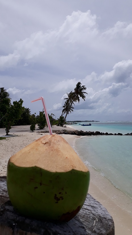 20180808_110256.jpg