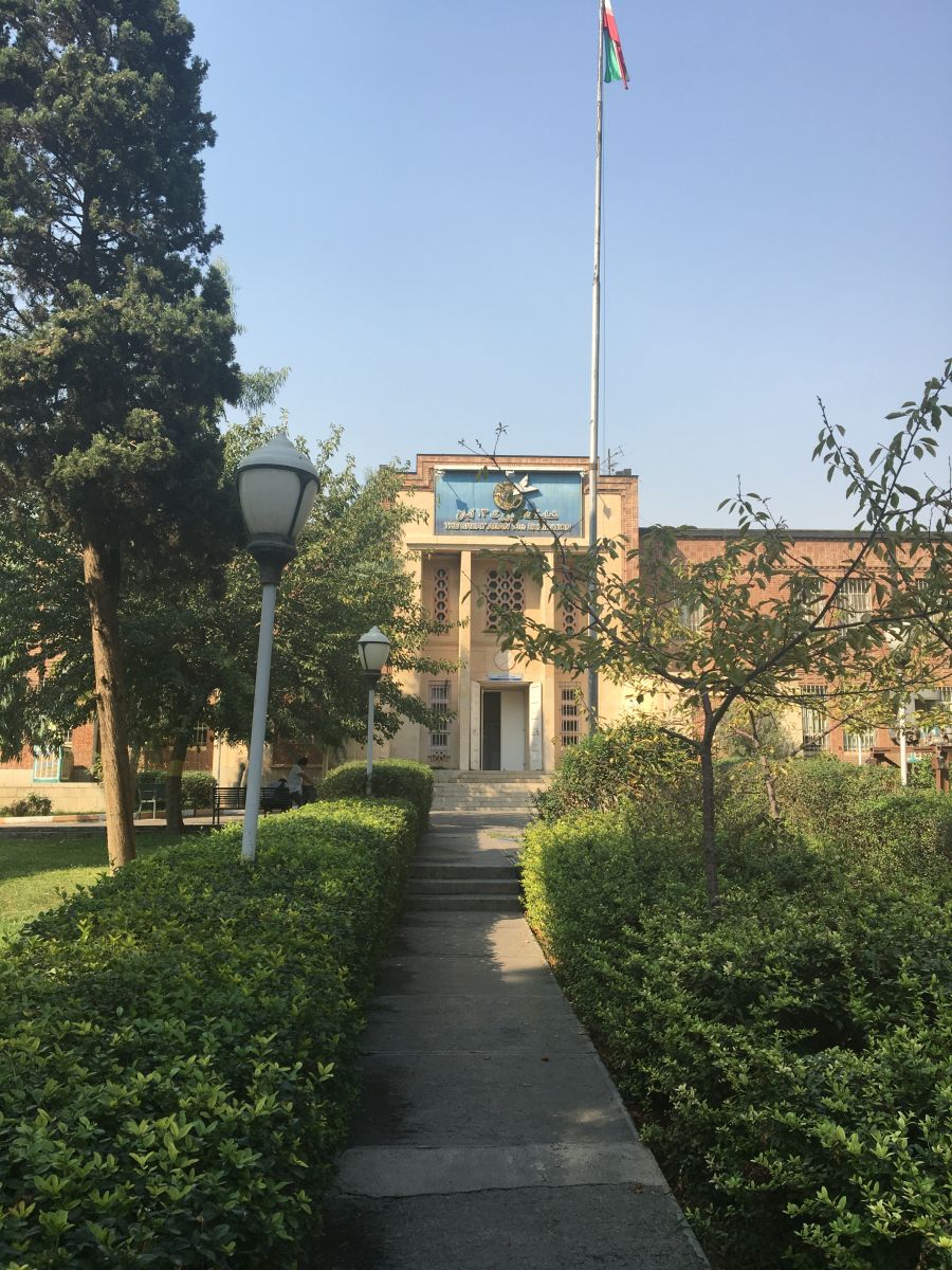 6a.jpg