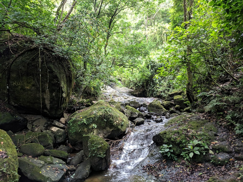 IMG_20180508_104707.jpg