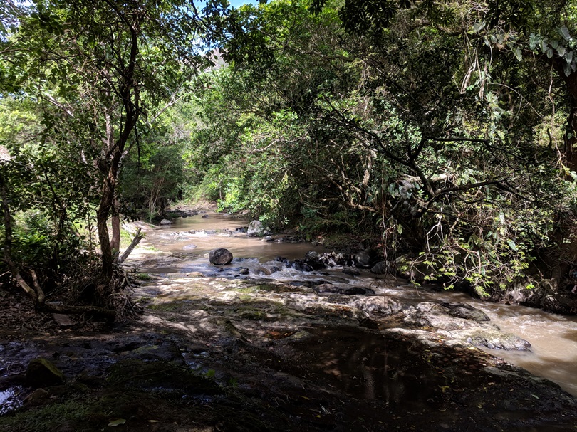 IMG_20180508_144626.jpg
