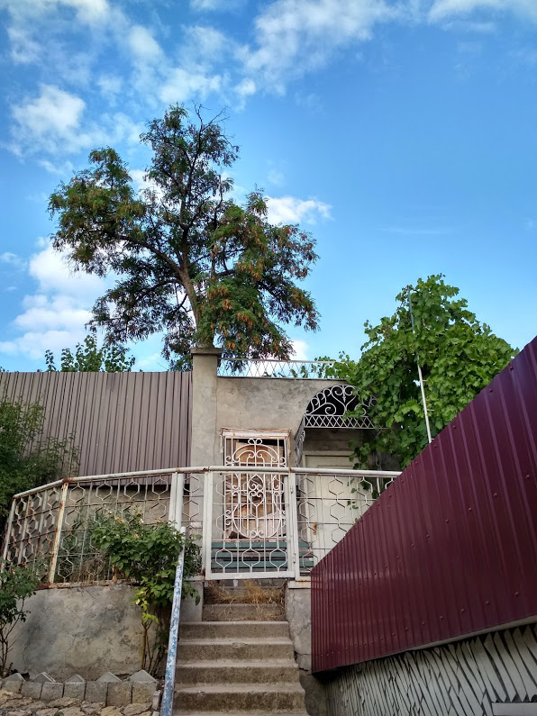 instalacja z płotów.jpg