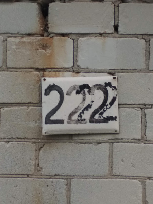 22222.jpg