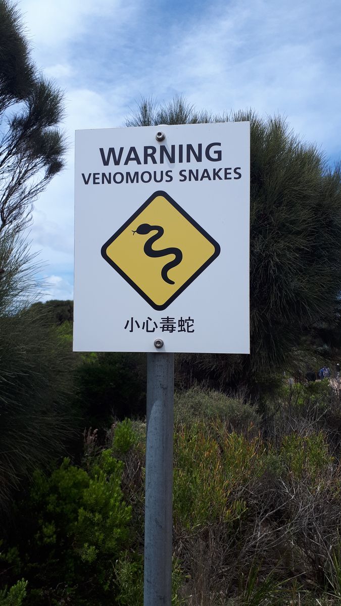 4. snakes.jpg