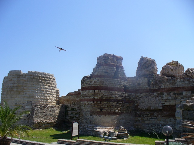 P1120404.JPG