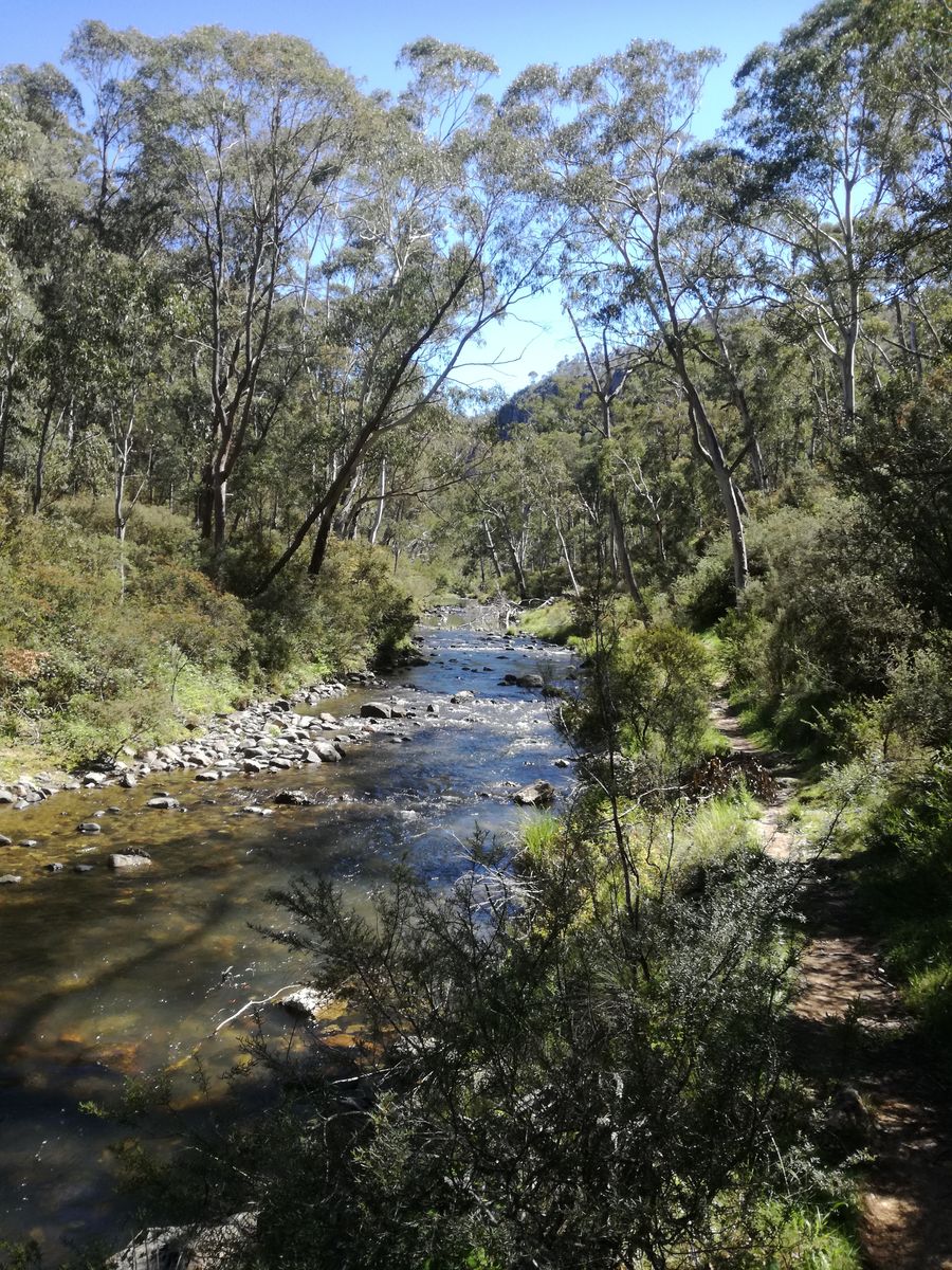 IMG_20181118_102456.jpg