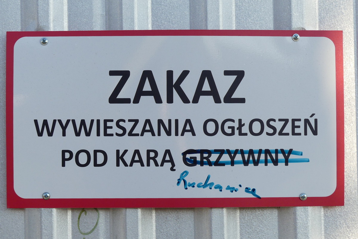 P1270058.jpg