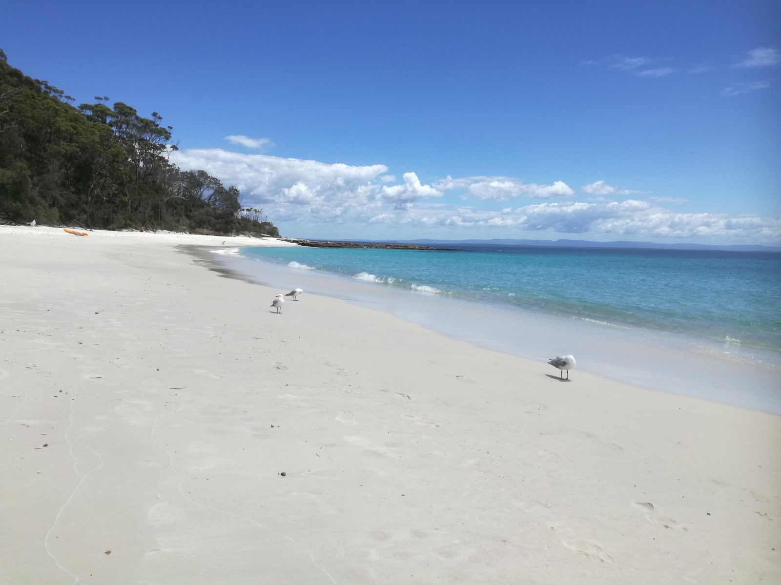 Murrays Beach7.jpg