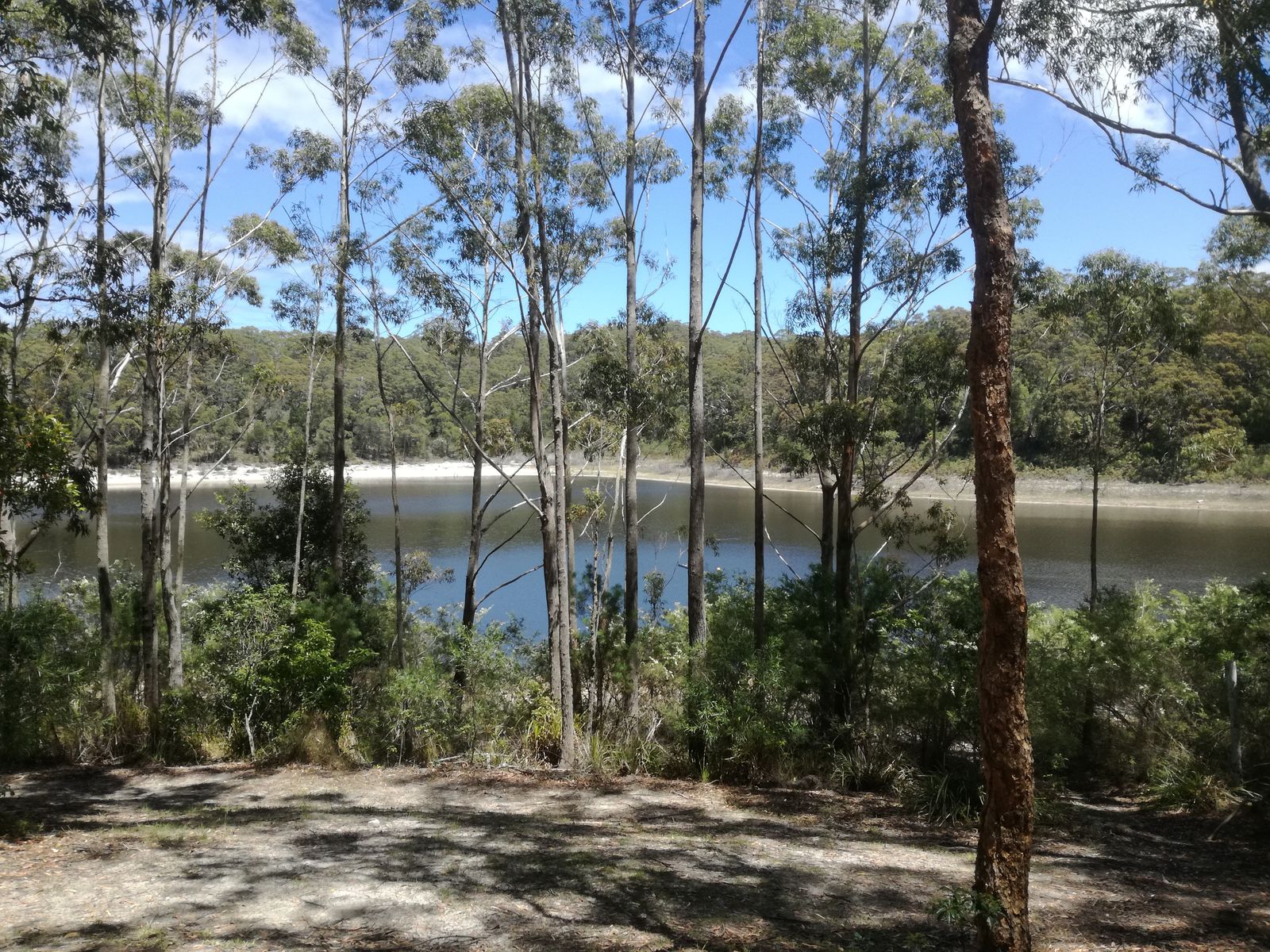 McKenzie Lake.jpg
