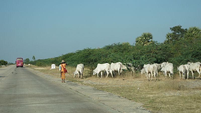 DSC08750.JPG