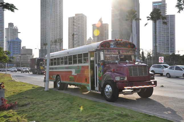 chickenbuss.jpg