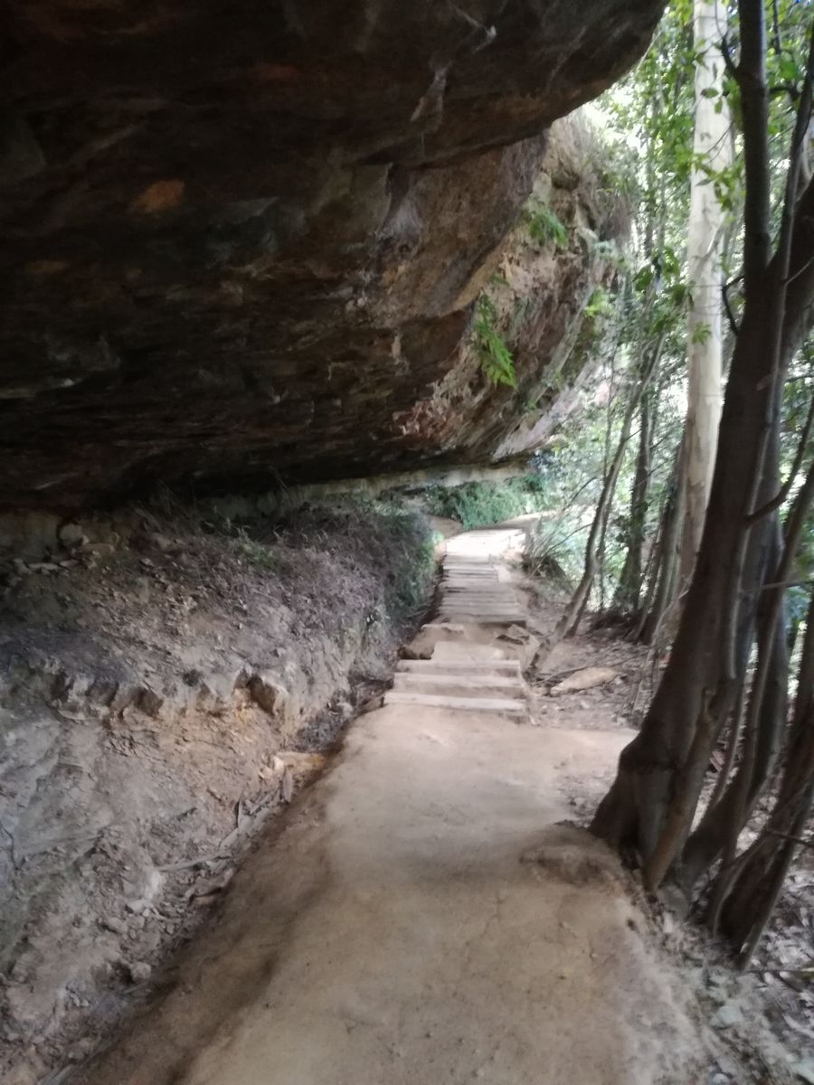 Undercliff Track2.jpg