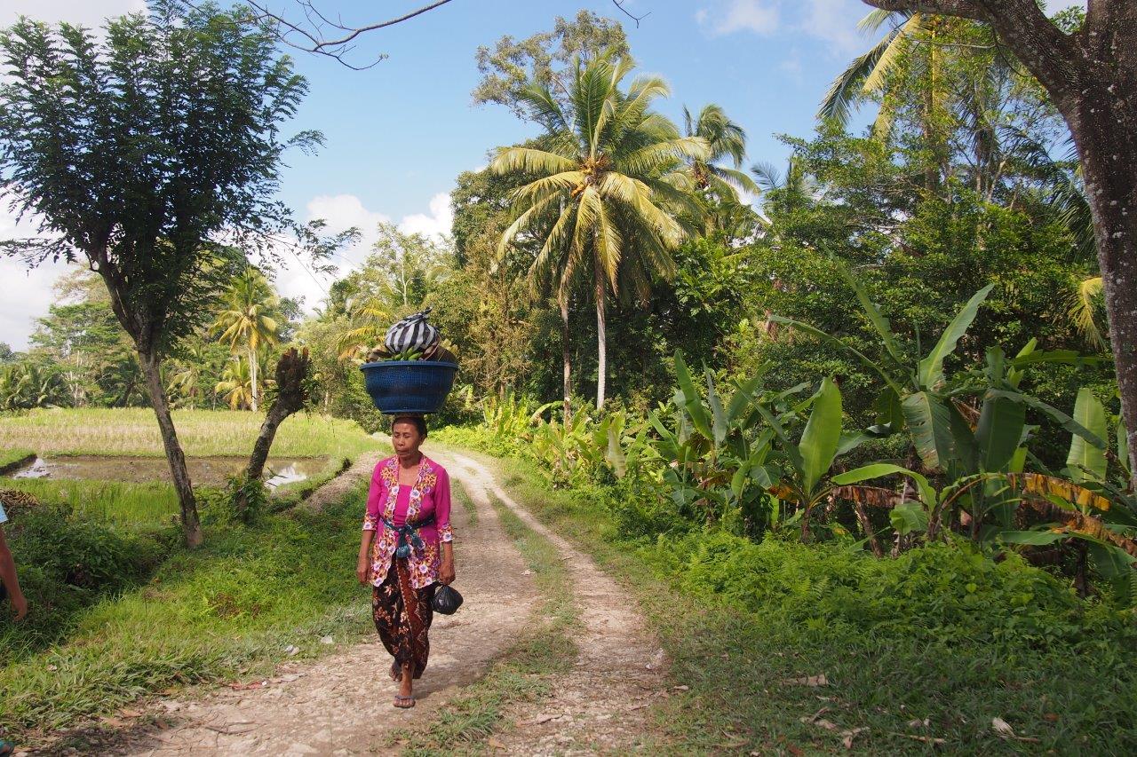 Indonezja (1).JPG