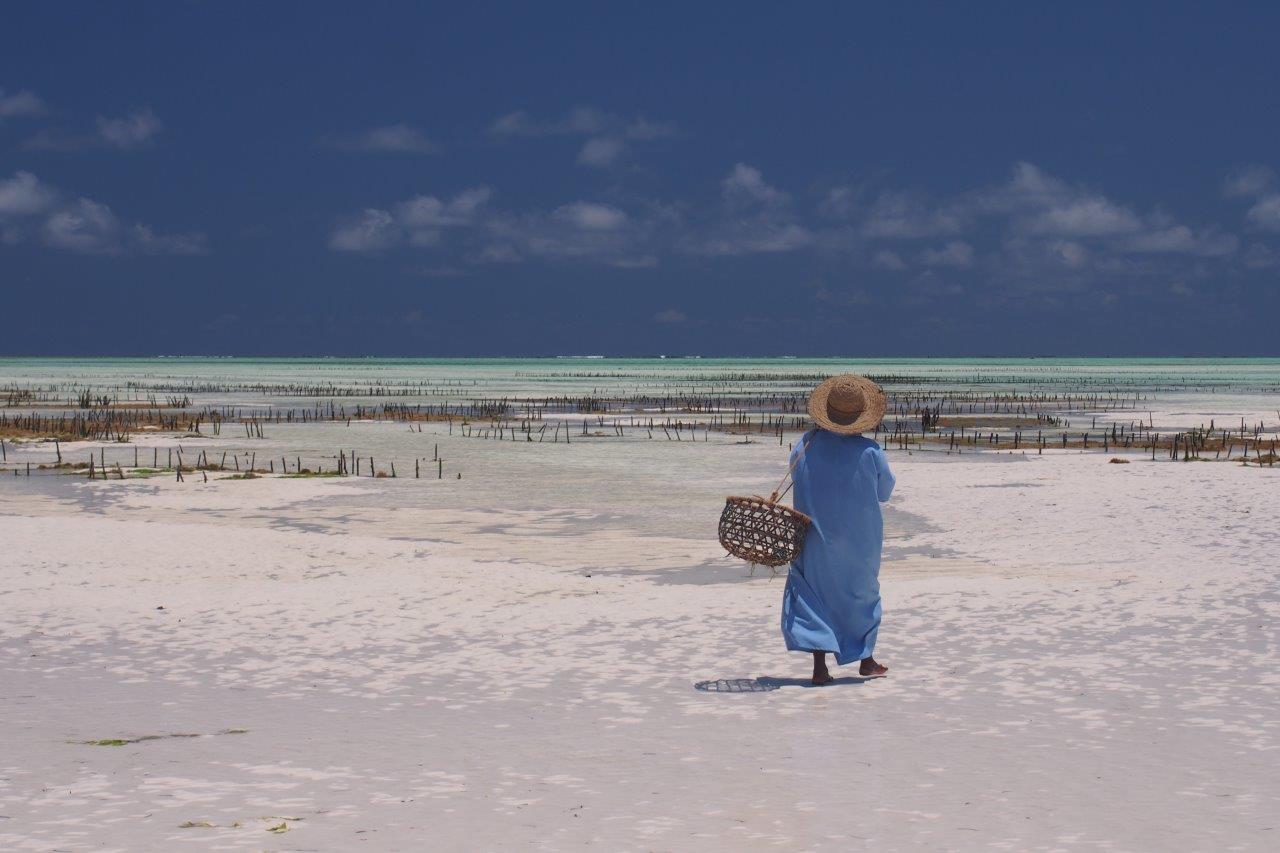 Zanzibar (1).JPG