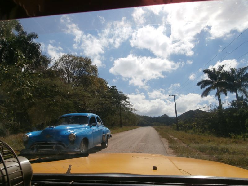 P3110096.JPG