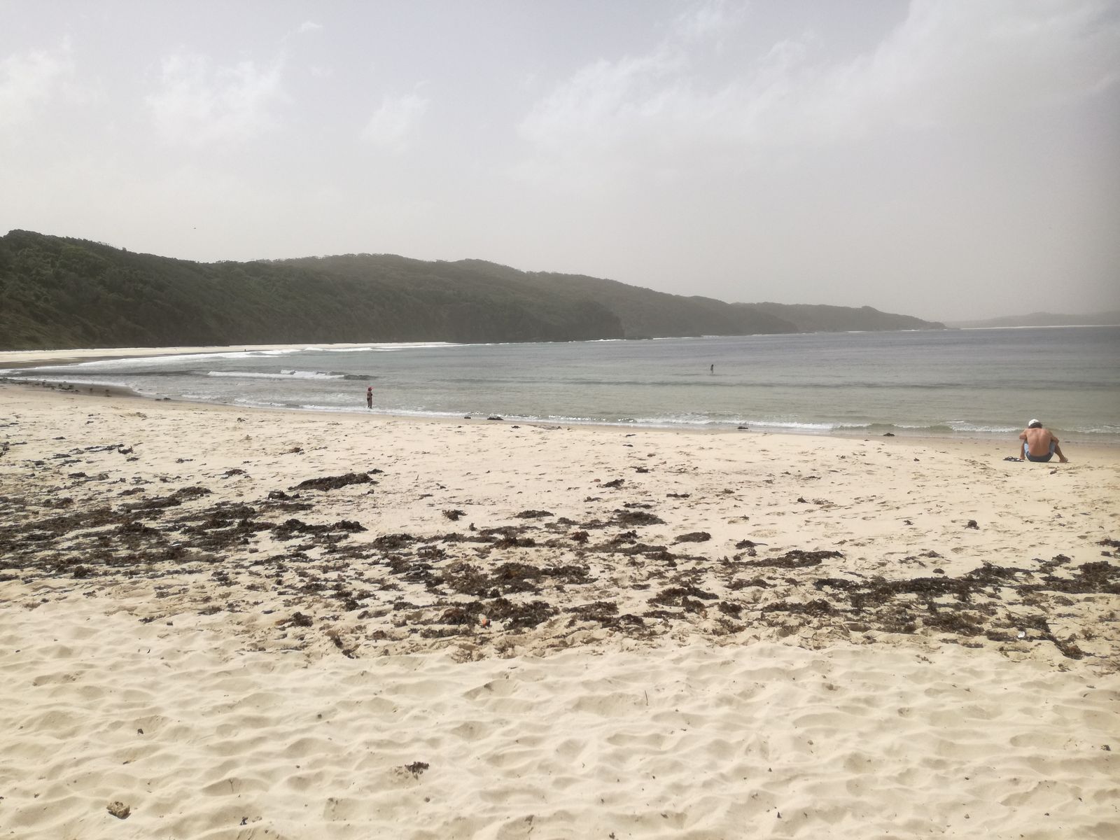 Seal Rocks.jpg