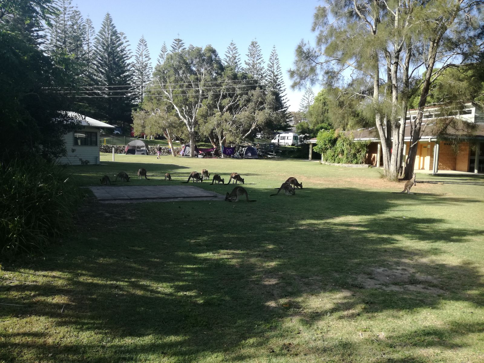 Trial Bay Gaol - camping.jpg