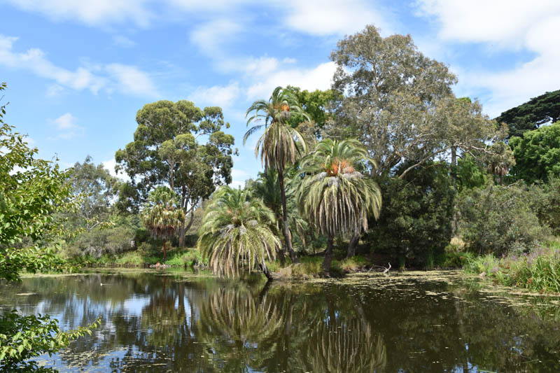 Melbourne.jpg