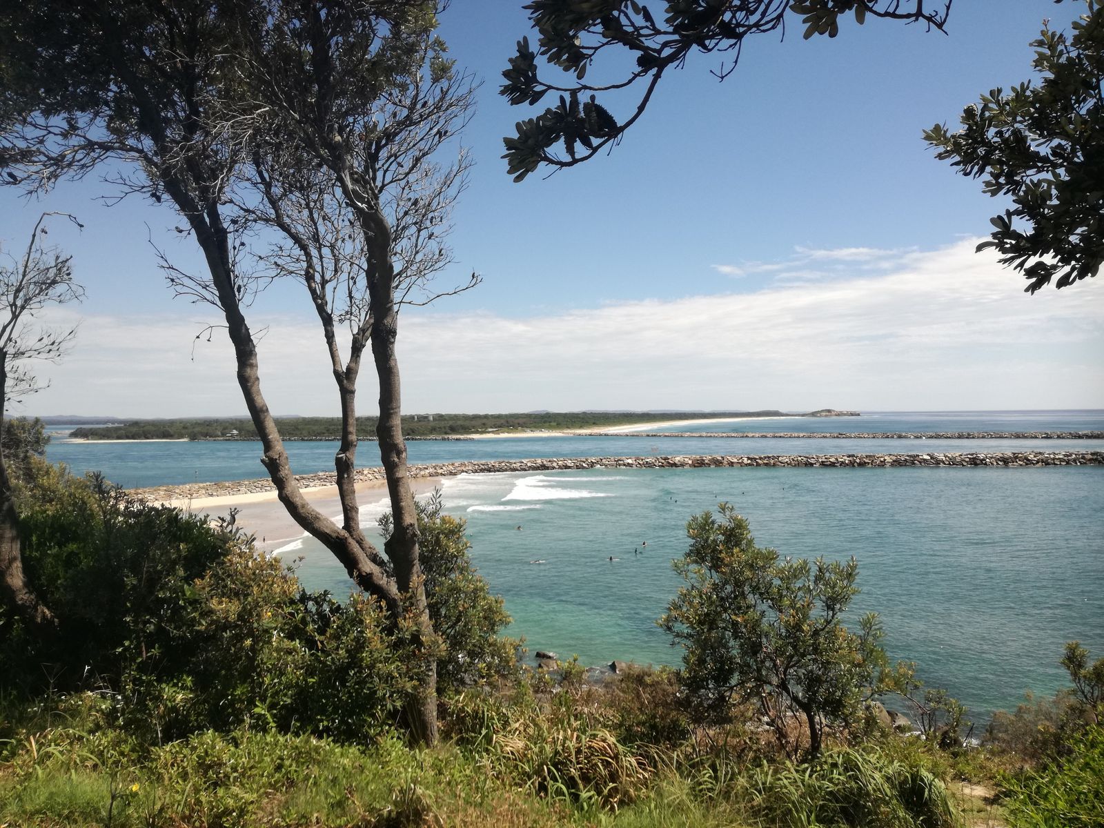 Yamba1.jpg